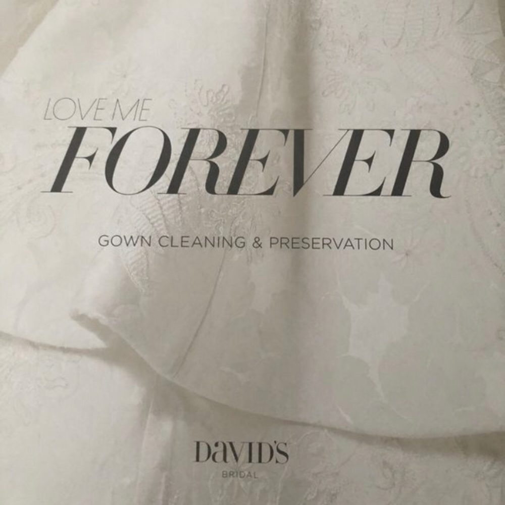 David’s Bridal Dress Kit